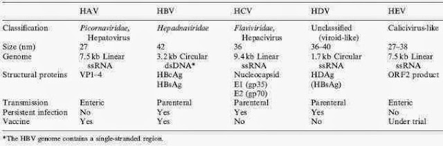 Hepatitis D