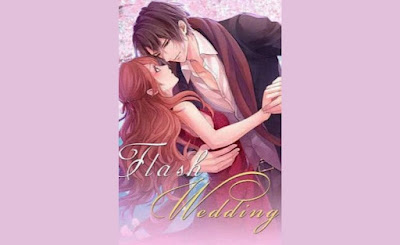 Baca Novel Flash Wedding Gratis Full Episode
