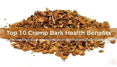 10 Cramp Bark Health Benefits