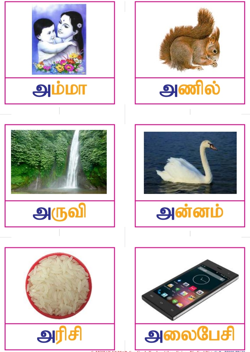 tamil vowel letters flash cards a4 size padasalai no 1 educational website