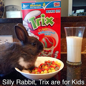 Funny animals of the week - 24 January 2014 (40 pics), bunny rabbit wants to eat Trix