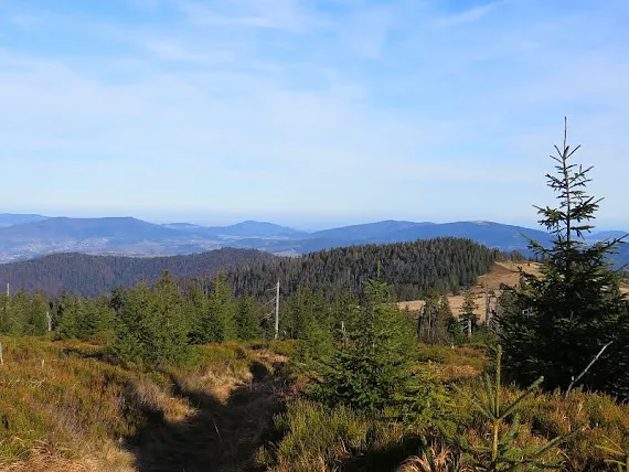 Gorce -widok na Beskid Wyspowy