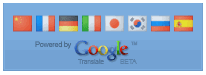 Google Flag Translate Widget For Blogger Blogspot 15