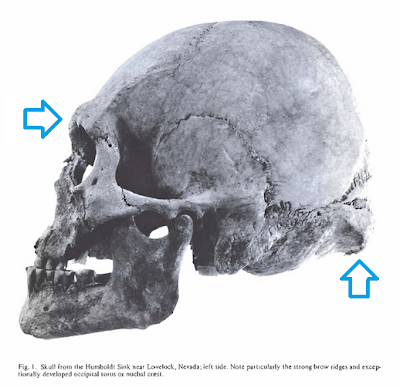 lovelock skull