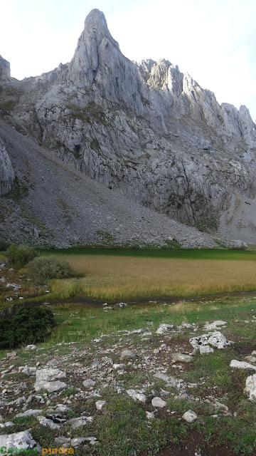 Laguna las Verdes cubierta de vegetación que le da su nombre