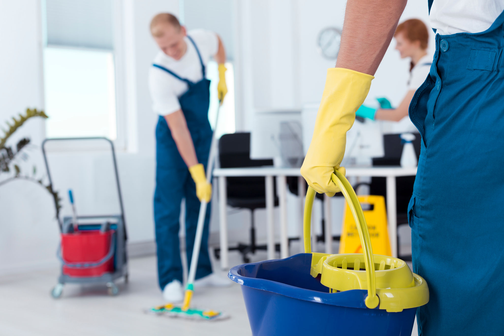 deep-cleaning-north-york