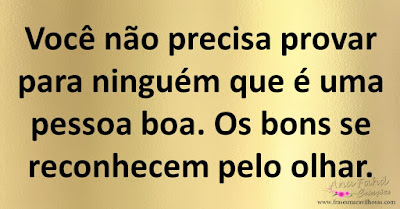 Você não precisa provar para ninguém que é uma pessoa boa. Os bons se reconhecem pelo olhar.