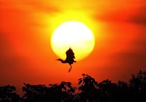 Hài lòng với những gì đang có