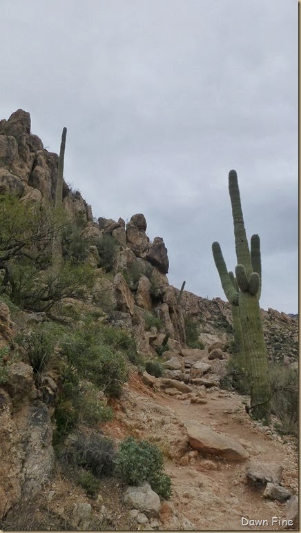 Romero pools hike_030