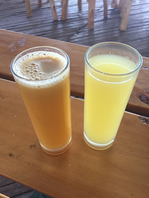 Fresh juice for lunch; Lake Bunyonyi, Uganda