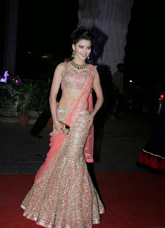 Urvashi Rautela in Saree