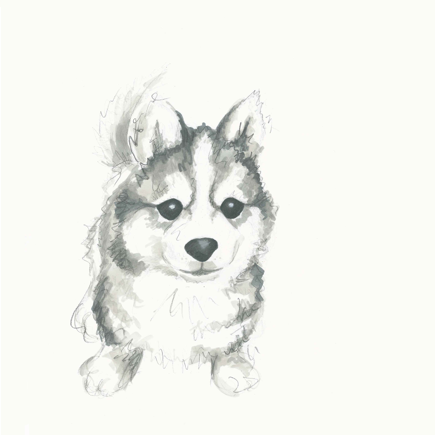 Kathleen Meaney Illustration: Puppy drawings