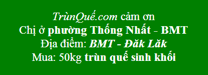 50kg trùn sinh khối về Phường Thống Nhất - TPBMT - Đăk Lăk