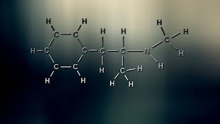 What is Gibberellin in Biology? History and Function