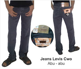 Model Celana Jeans Reguler Fit Pria