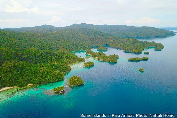 Karst in Kabui bay of Gam island