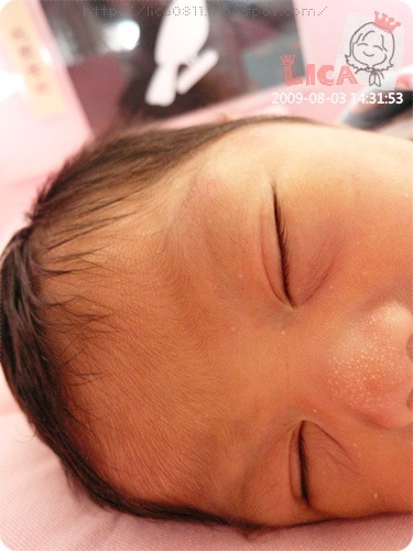 licababy-03