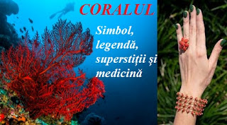 Coralul: Simbol, legendă, superstiții și medicină