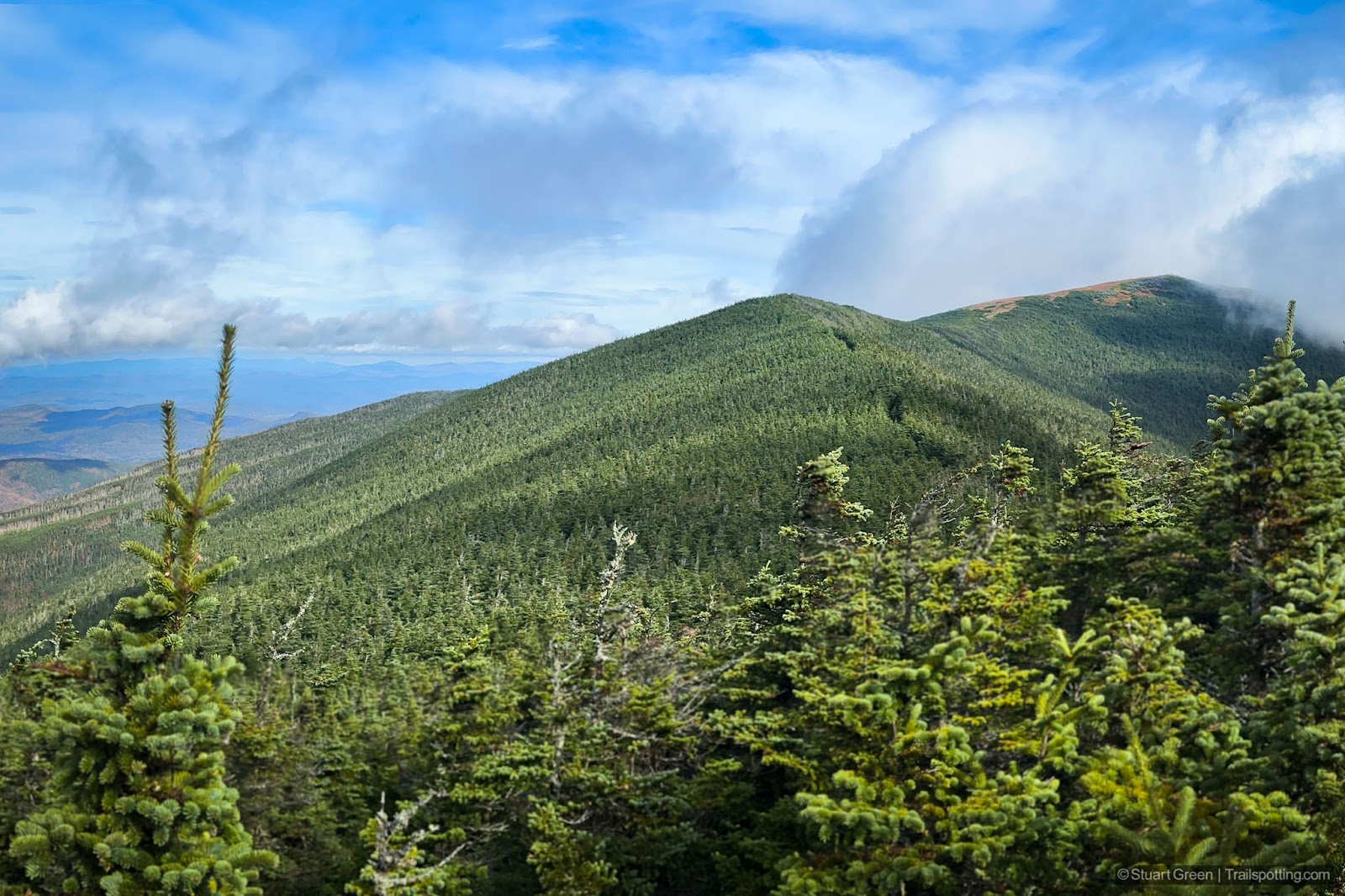 Mountain ridgeline carpeted with green trees. Moosilauke summit visible, and with bare orange grass close to the summit.