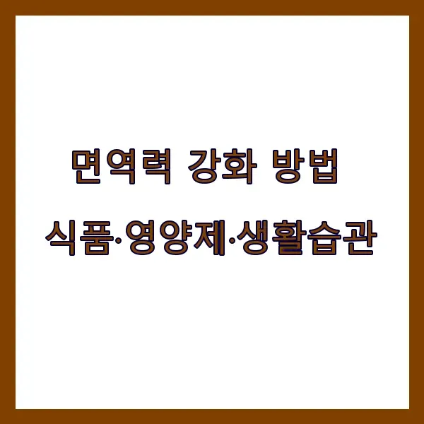 면역력 강화 방법, 식품·영양제·생활습관으로 면역 지키는 법