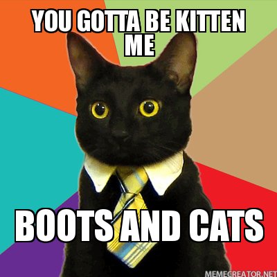 Boots And Cats3