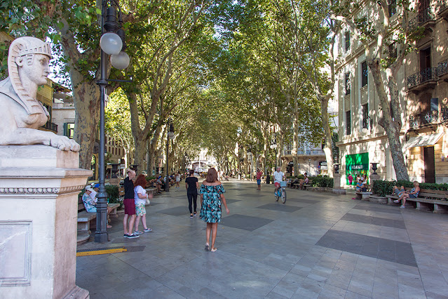 Cozy streets of the city of Palma (photo_3)