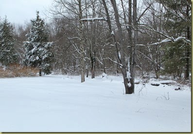 2-13 Storm (1)