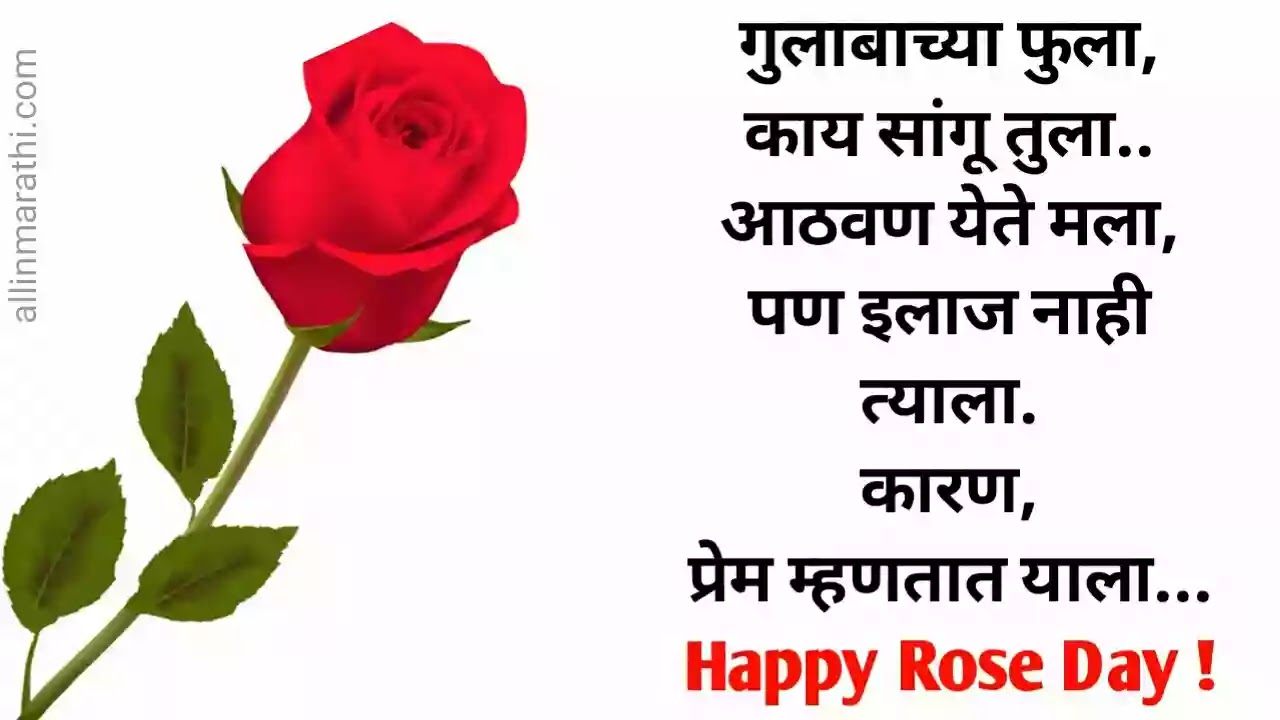 Rose day status marathi