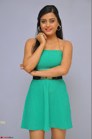 Shipra Gaur in a Strapless Green Short Dress Spicy Pics ~  Exclusive 014.JPG