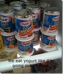 yogurt