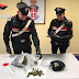 Corato (Ba). Nascondevano la marijuana nel ripostiglio. I Carabinieri arrestano due persone