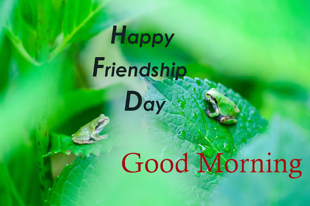 Good Morning Happy Friendship Day