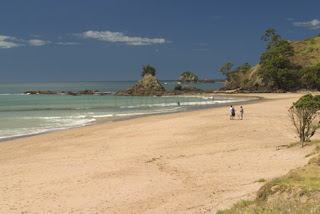 New Zealand Beach Wallpaper