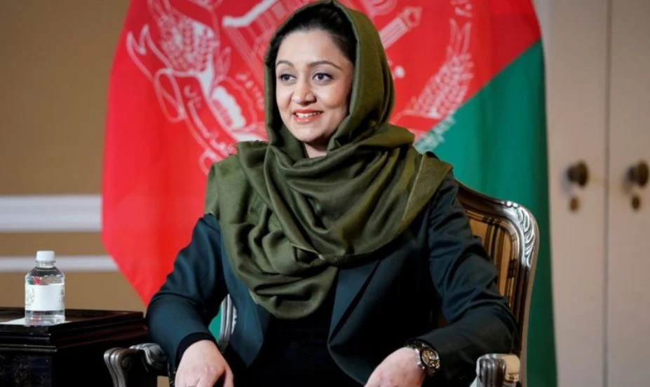 Ex-Afghan envoy blames Kabul's 'corrupt leadership' for Taliban takeover