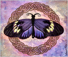 	HAED artwork by Amanda Robison	"	AR QS-1410 QS Celtic Butterfly Two + PM	