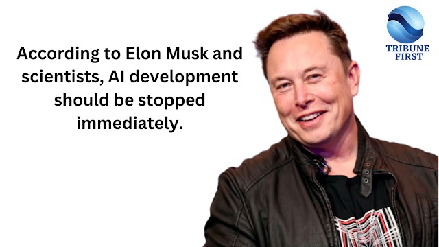  According to Elon Musk and scientists, AI development should be stopped immediately.