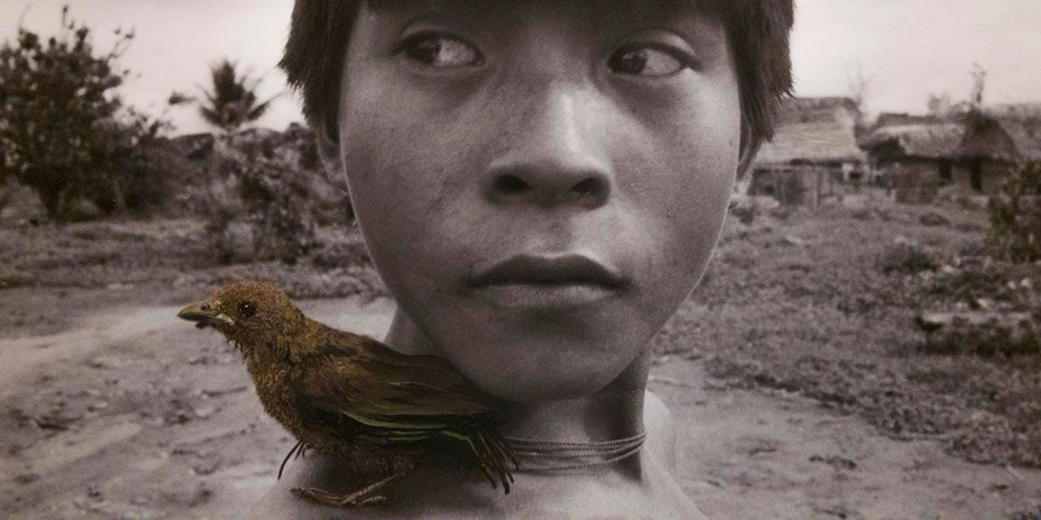 Imagem