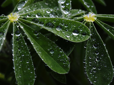 秘密の花園で撮影