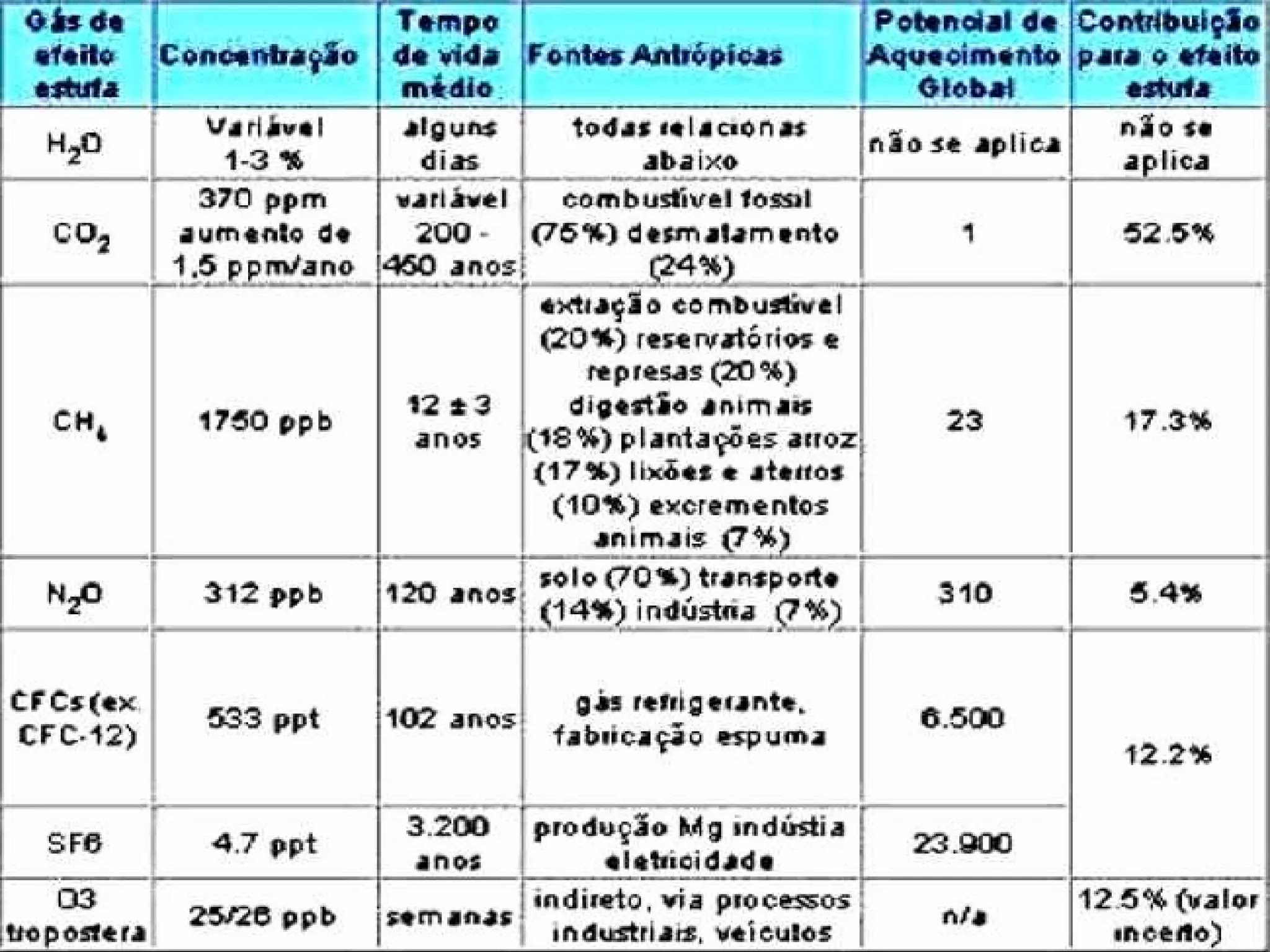 CICLO DO CARBONO