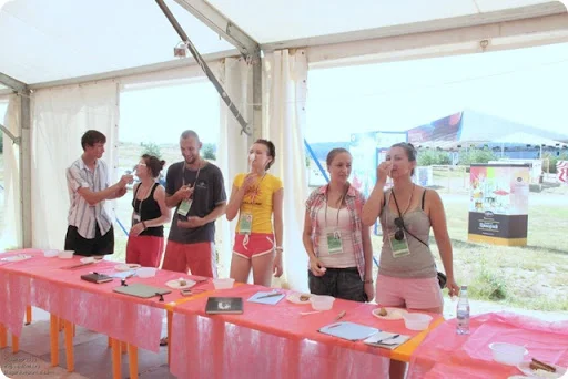 seliger_2011_07_11_0306питание