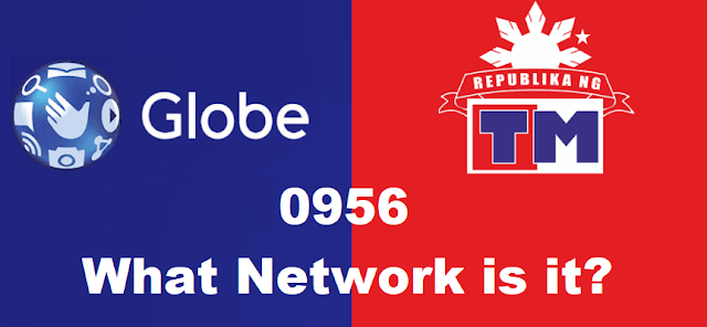 0956 - What Network is it -vGlobe TM