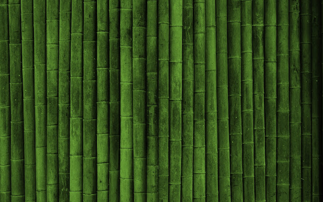 Bamboo Images3