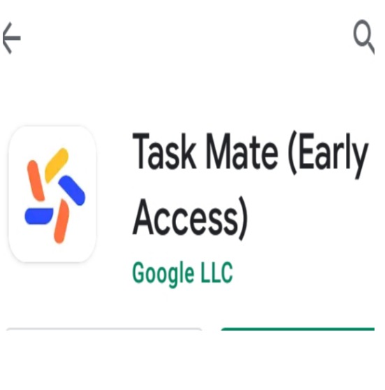 Google Task Mate earning