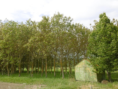 Camouflage cabanon, malooka