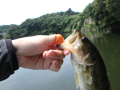 [最も好ましい] バス釣り ネコリグ フック 289457-バス釣り ネコリグ フック