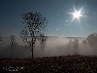Köd és nap (fog and sun)