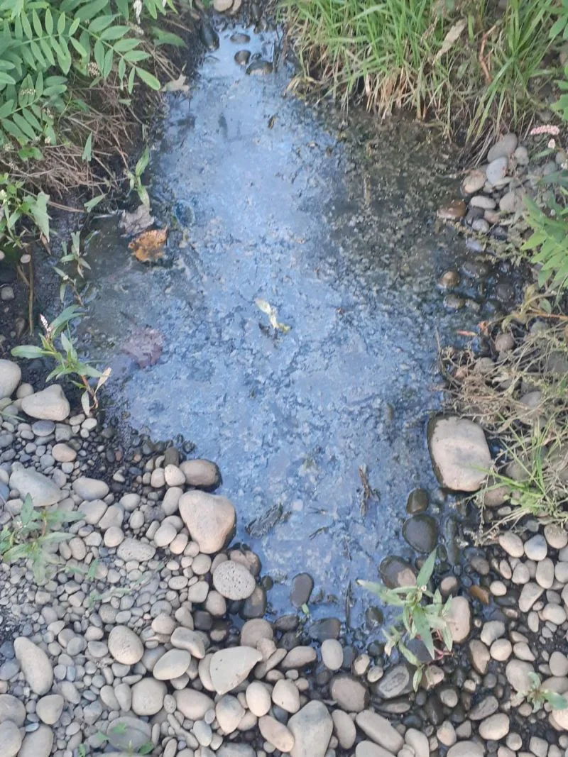 Grave contaminación en el Estero Ovejería