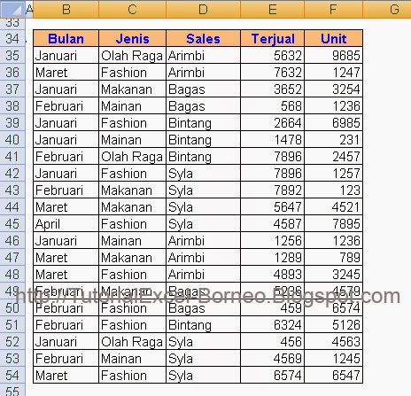 Trik-Membuat-Laporan-Dengan-Advanced-Filter