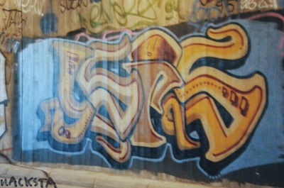 DSCF5613