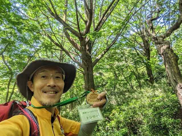 GotoForest!のプレート